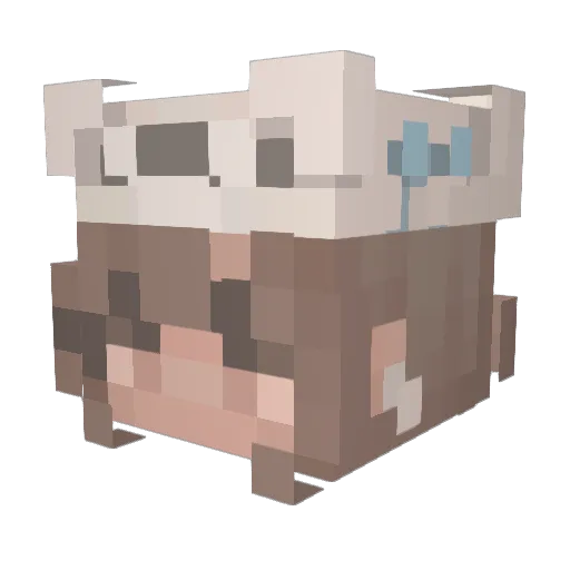 emptyflower Minecraft avatar head, 3D render