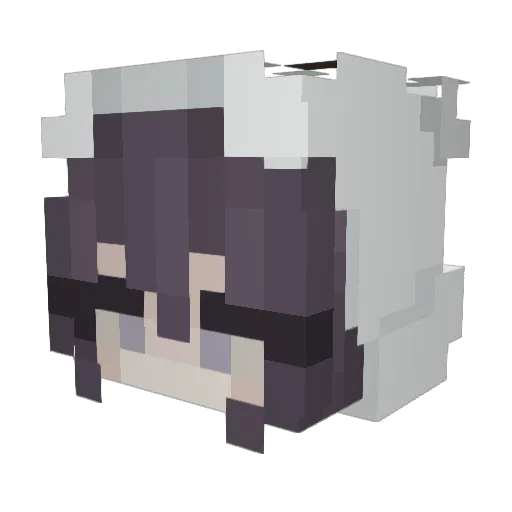 emrose106 Minecraft avatar head, 3D render