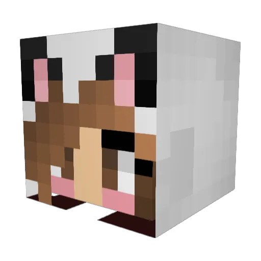 emvelle Minecraft avatar head, 3D render