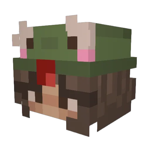 emydoesntknow Minecraft avatar head, 3D render