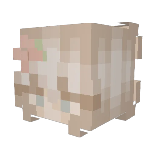 emyjoe88 Minecraft avatar head, 3D render
