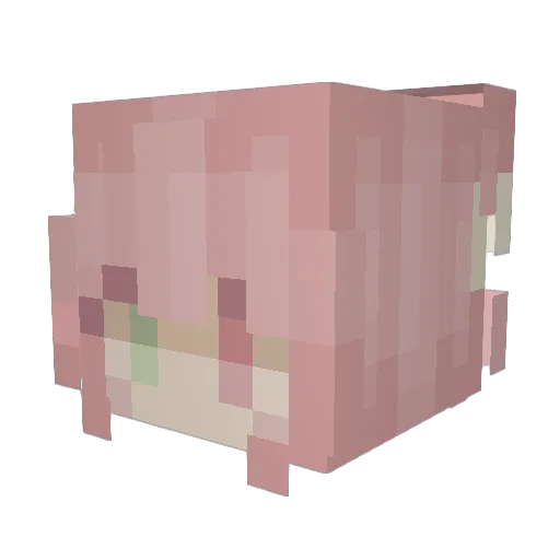 emzakae Minecraft avatar head, 3D render