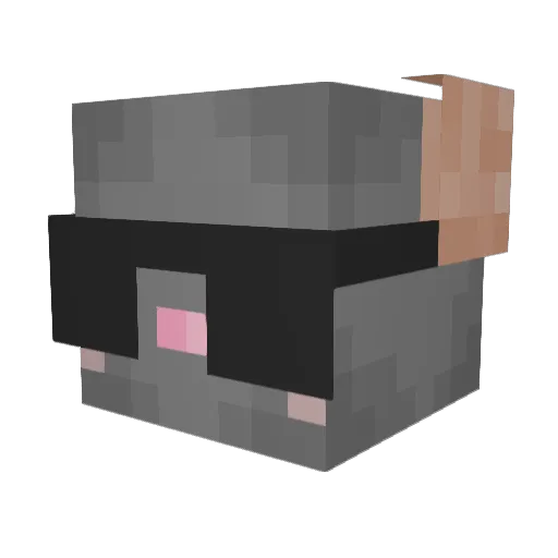 encass Minecraft avatar head, 3D render