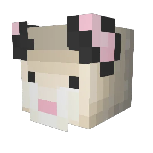 enchanted211 Minecraft avatar head, 3D render