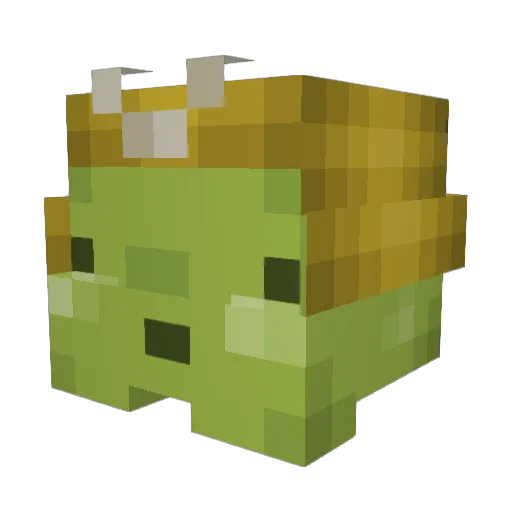 enchiridion_0 Minecraft avatar head, 3D render