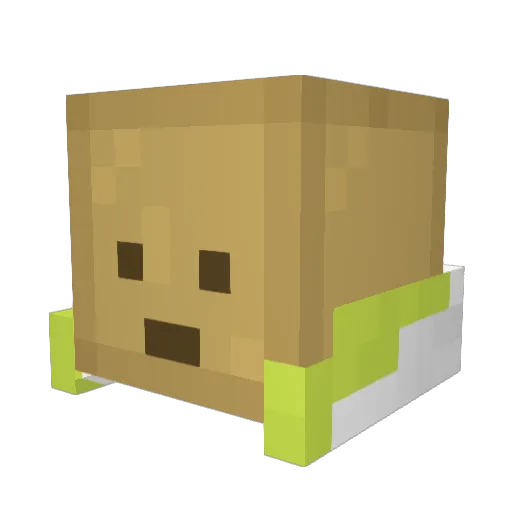 enchosensei Minecraft avatar head, 3D render