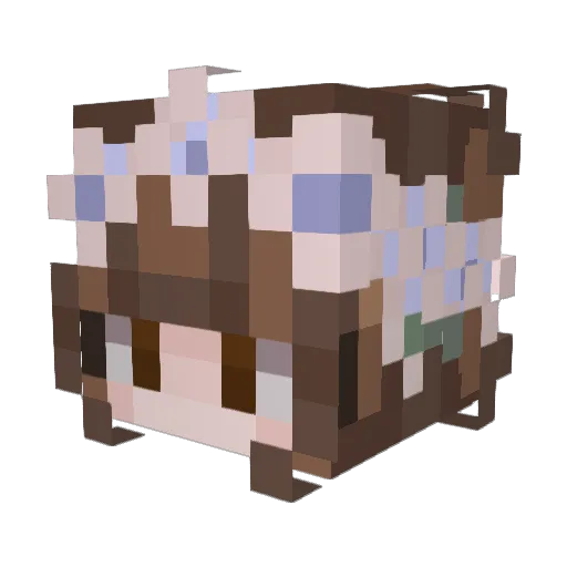 encodey Minecraft avatar head, 3D render