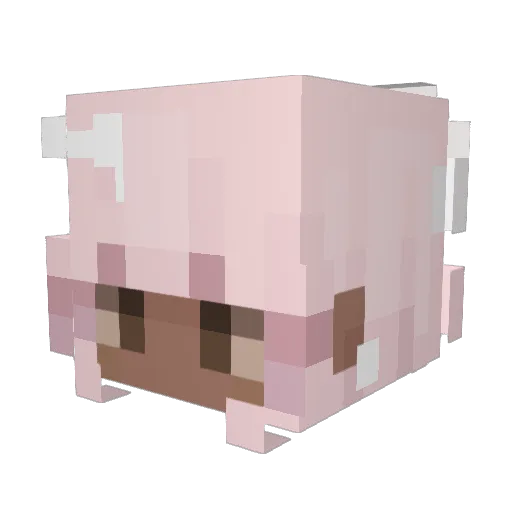 encrenca Minecraft avatar head, 3D render