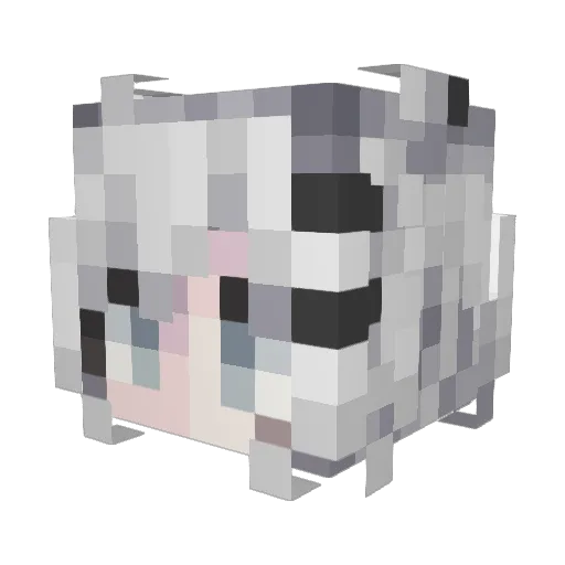 ended___ Minecraft avatar head, 3D render