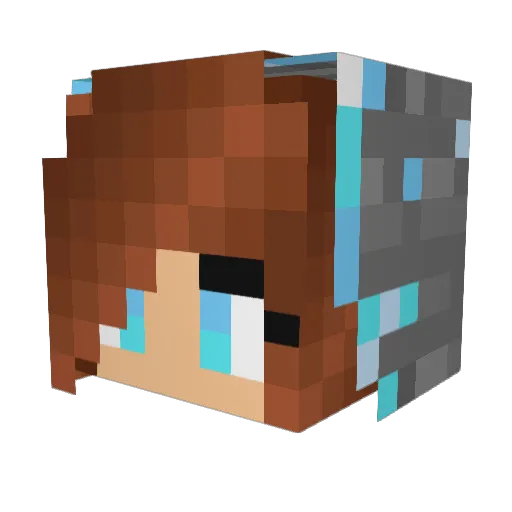 endemicbacon Minecraft avatar head, 3D render