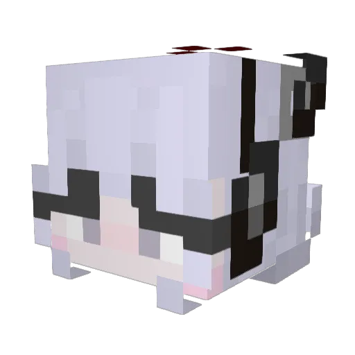 ender1008 Minecraft avatar head, 3D render