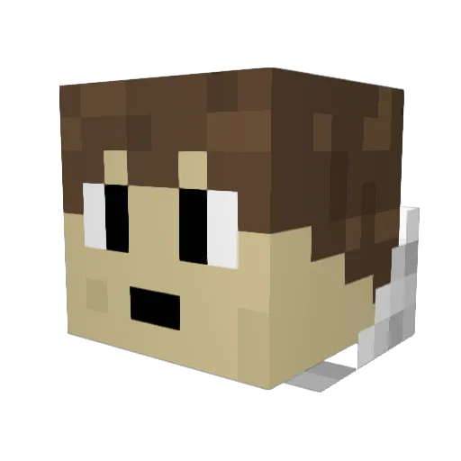 ender_assassin15 Minecraft avatar head, 3D render