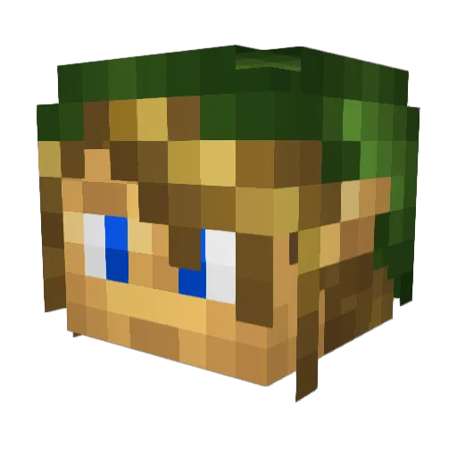 ender_troller11 Minecraft avatar head, 3D render