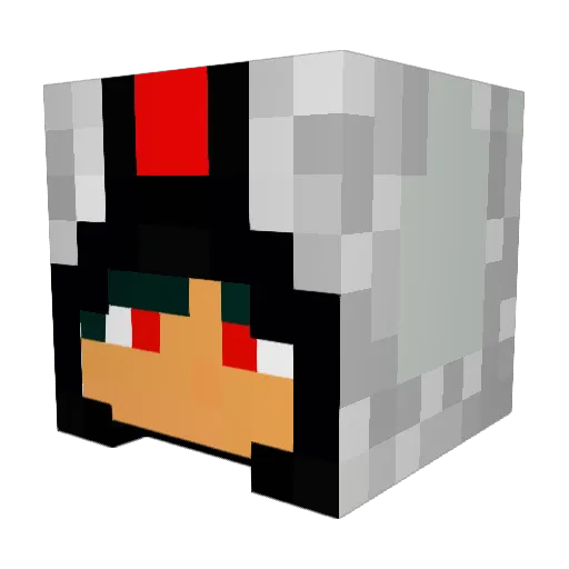 enderben2004 Minecraft avatar head, 3D render