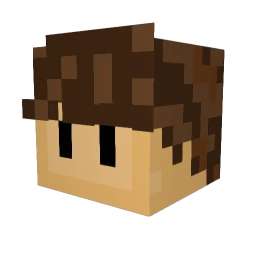 enderboy21212 Minecraft avatar head, 3D render