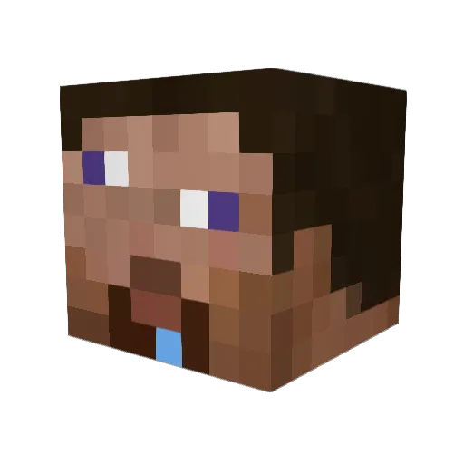 enderboy3004 Minecraft avatar head, 3D render