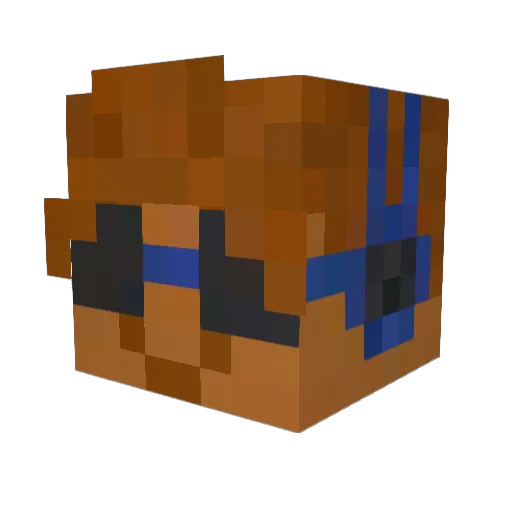 enderboy8646 Minecraft avatar head, 3D render