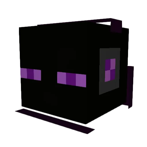 enderboyx69 Minecraft avatar head, 3D render