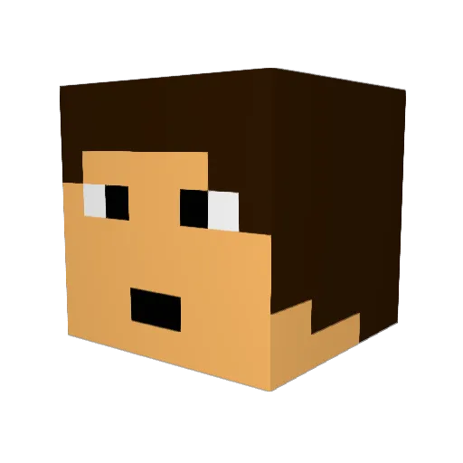 endercrafter1357 Minecraft avatar head, 3D render