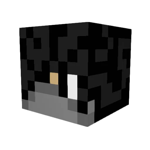 endercrafter5 Minecraft avatar head, 3D render