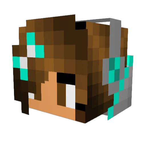 endercreeper2134 Minecraft avatar head, 3D render