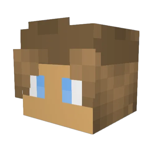 enderdragon304 Minecraft avatar head, 3D render