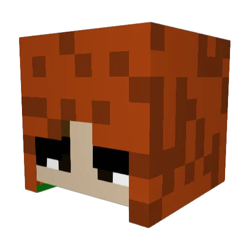 endereye011 Minecraft avatar head, 3D render