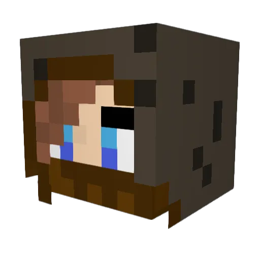 enderface21 Minecraft avatar head, 3D render