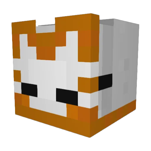 enderfox0534 Minecraft avatar head, 3D render