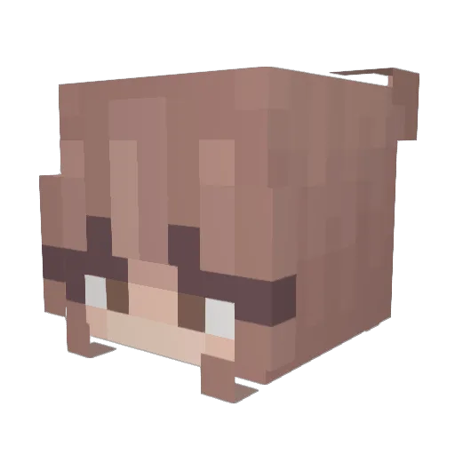 endergirl2012 Minecraft avatar head, 3D render