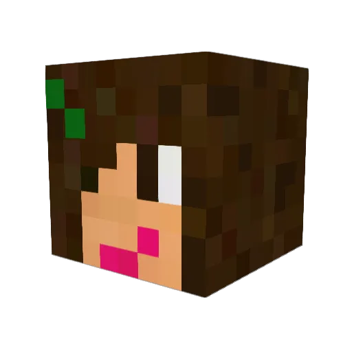 enderkitten462 Minecraft avatar head, 3D render