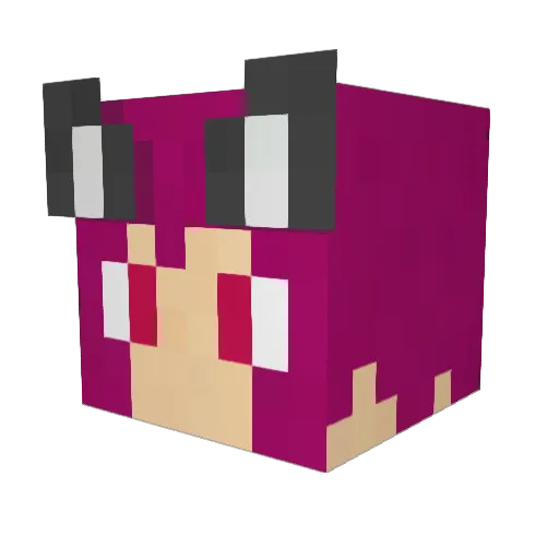 enderkitty88 Minecraft avatar head, 3D render