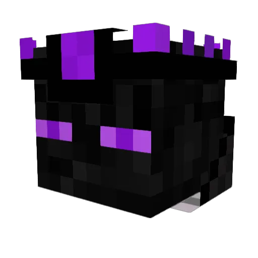 endermage350 Minecraft avatar head, 3D render