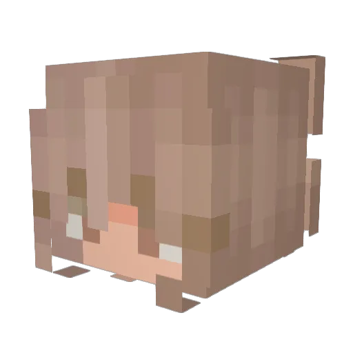 enderman000222 Minecraft avatar head, 3D render