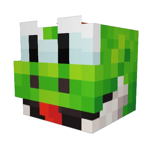 enderman0125 Minecraft avatar head, 3D render