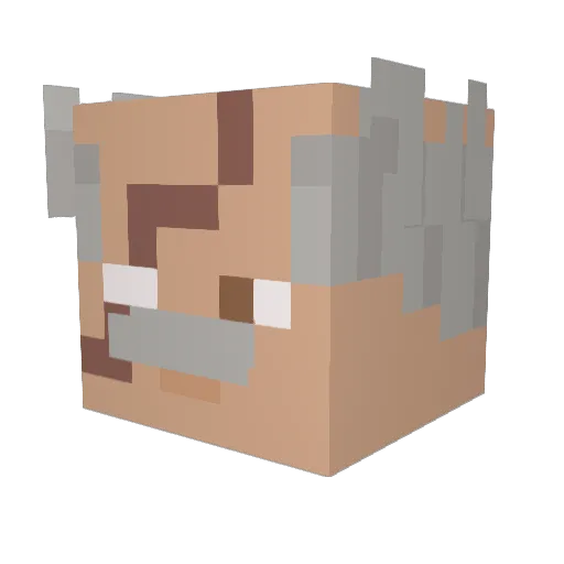 enderman6746665 Minecraft avatar head, 3D render