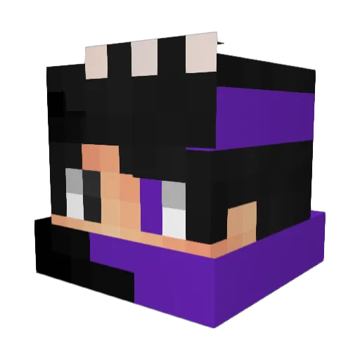endermandbr Minecraft avatar head, 3D render