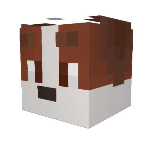 endermiso Minecraft avatar head, 3D render