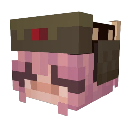 enderpie1 Minecraft avatar head, 3D render