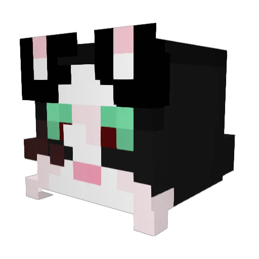 enderpizzaXD Minecraft avatar head, 3D render