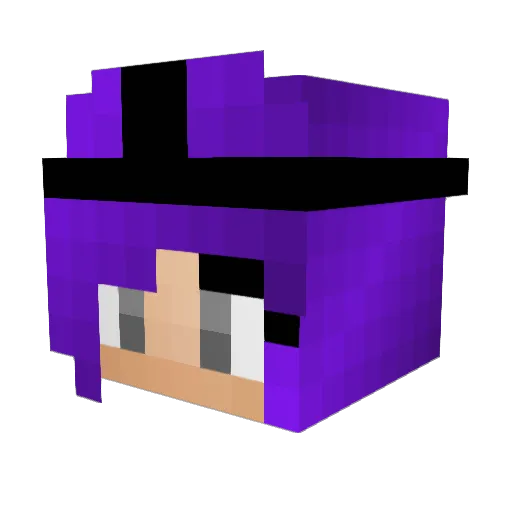 enderprincess101 Minecraft avatar head, 3D render