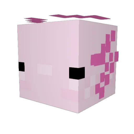 enderrslayer509 Minecraft avatar head, 3D render