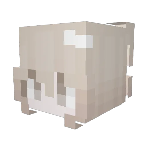 endisfree Minecraft avatar head, 3D render