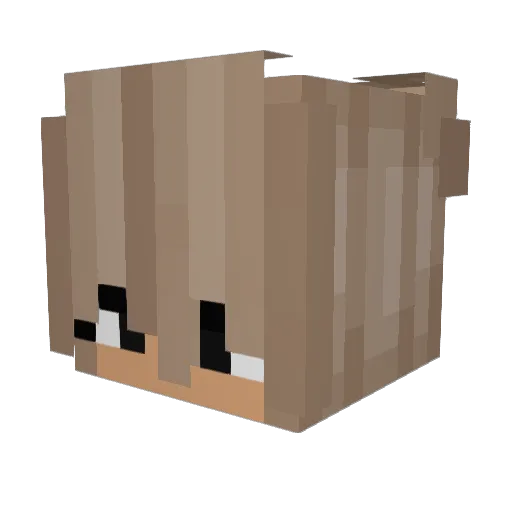 endlesslovee Minecraft avatar head, 3D render