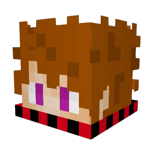 endmaster170 Minecraft avatar head, 3D render