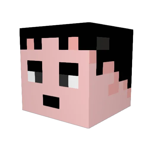 endqn Minecraft avatar head, 3D render