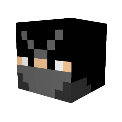 energy1010 Minecraft avatar head, 3D render