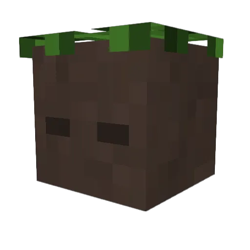 eneuen Minecraft avatar head, 3D render