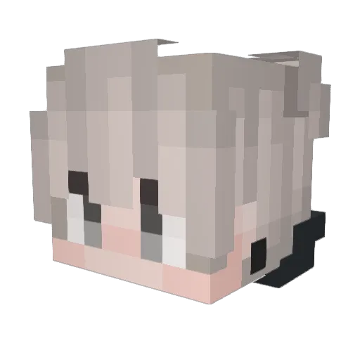 enffo Minecraft avatar head, 3D render