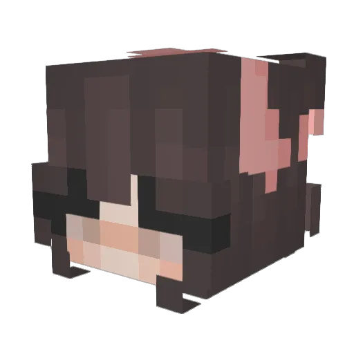 engel_allerbeste Minecraft avatar head, 3D render